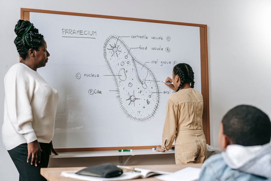 Creating a learning loop