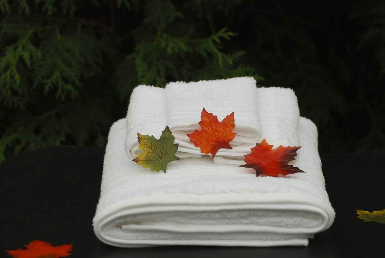 Future Trends in the Massage Industry