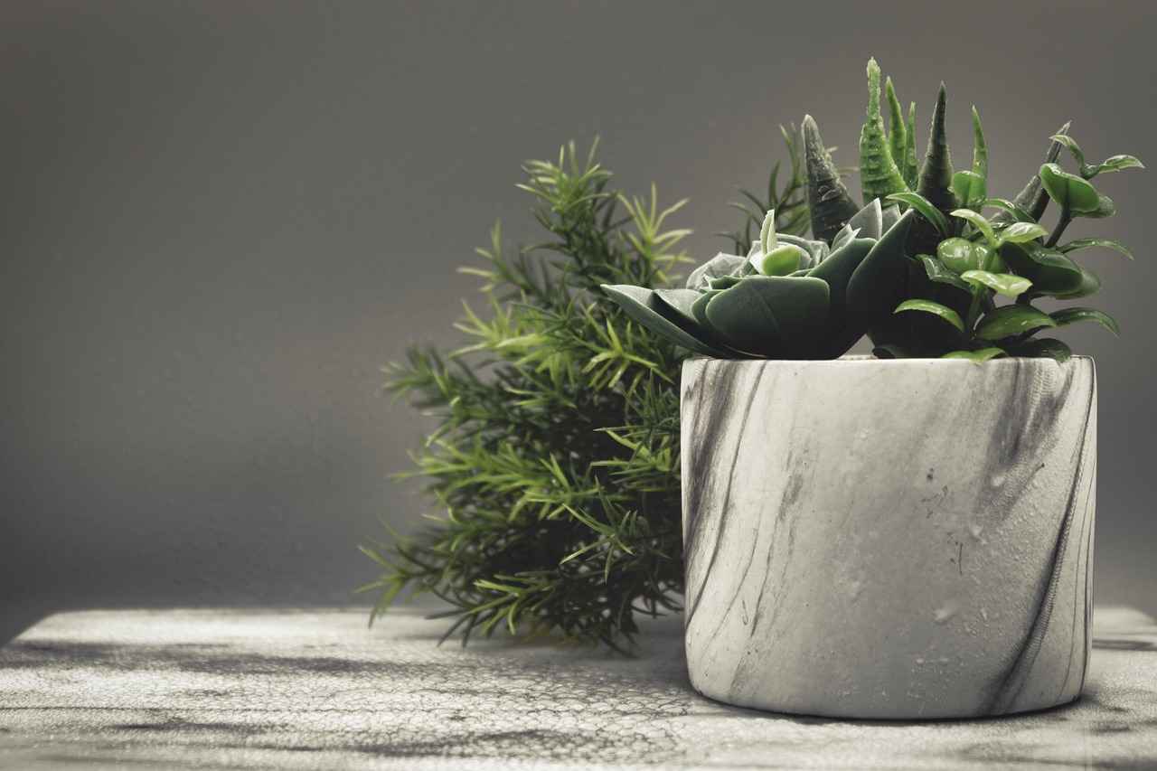 Key Features of a Quality Asian Massage Spa