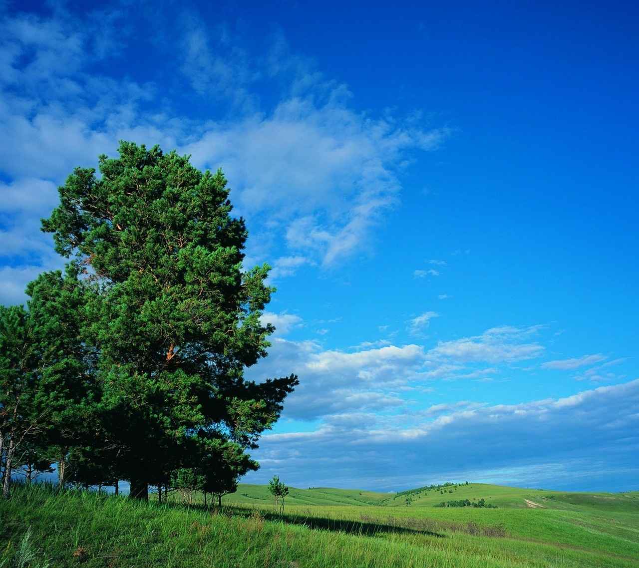 Social Media and Marketing Strategies